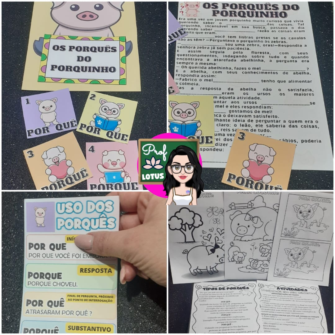 OS PORQUÊS DO PORQUINHO