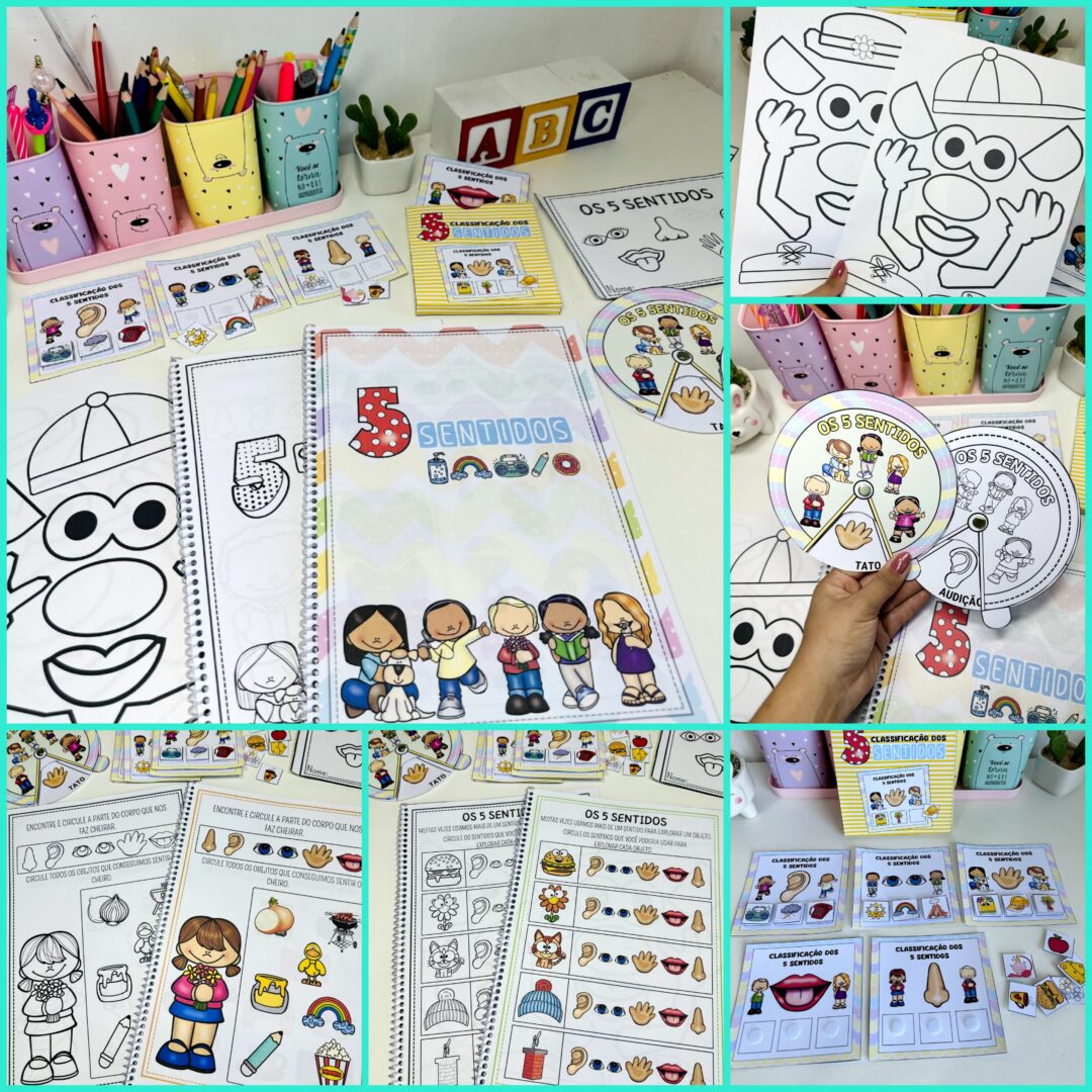 KIT 5 SENTIDOS