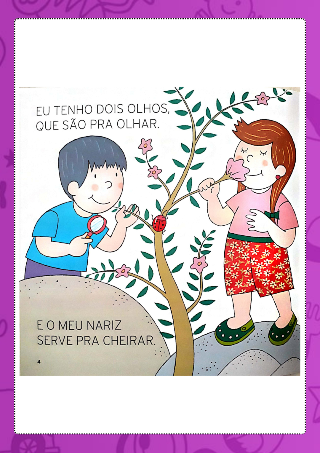 PROJETO LITERÁRIO RUTH ROCHA - Imagem 7