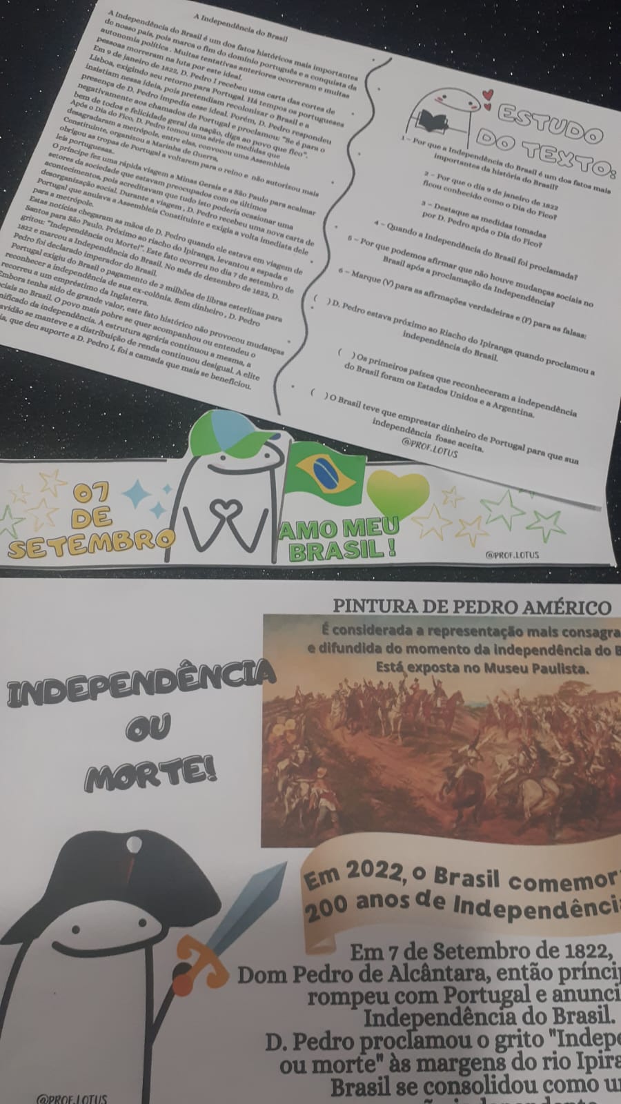 INDEPENDÊNCIA DO BRASIL FLORKS - Imagem 31