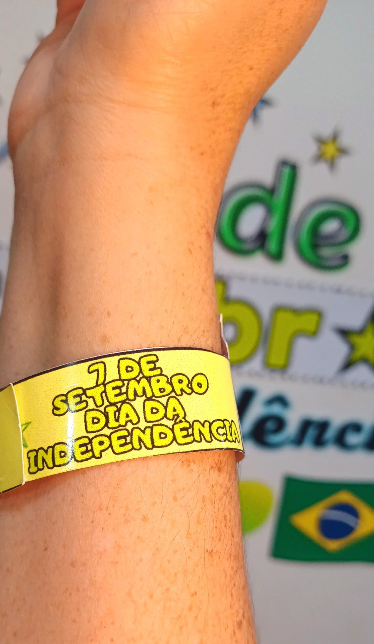 INDEPENDÊNCIA DO BRASIL FLORKS - Imagem 29