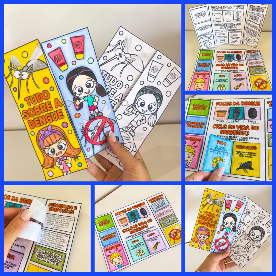 LAPBOOK TUDO SOBRE A DENGUE
