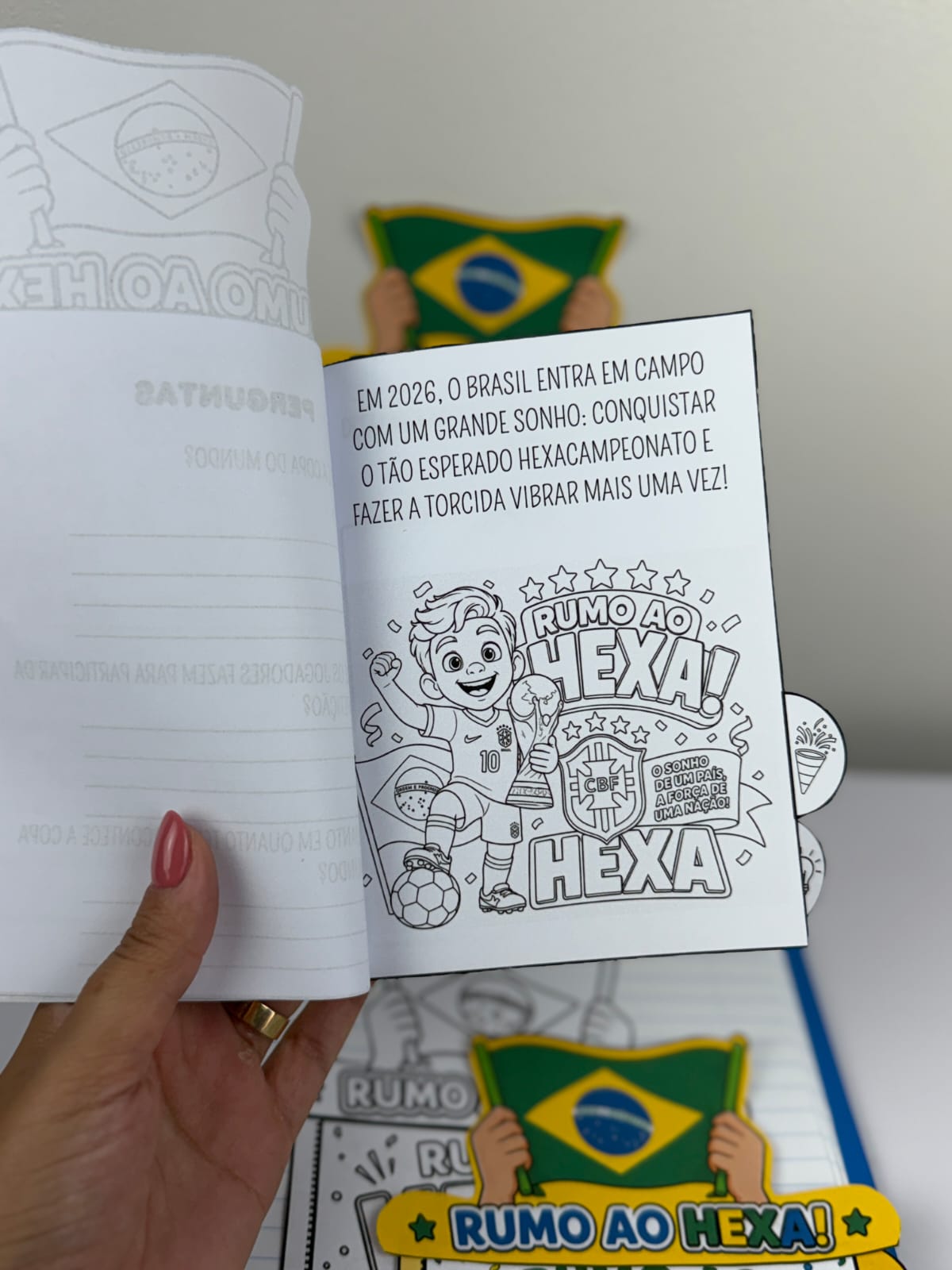 LIVRINHO RUMO AO HEXA - Imagem 8