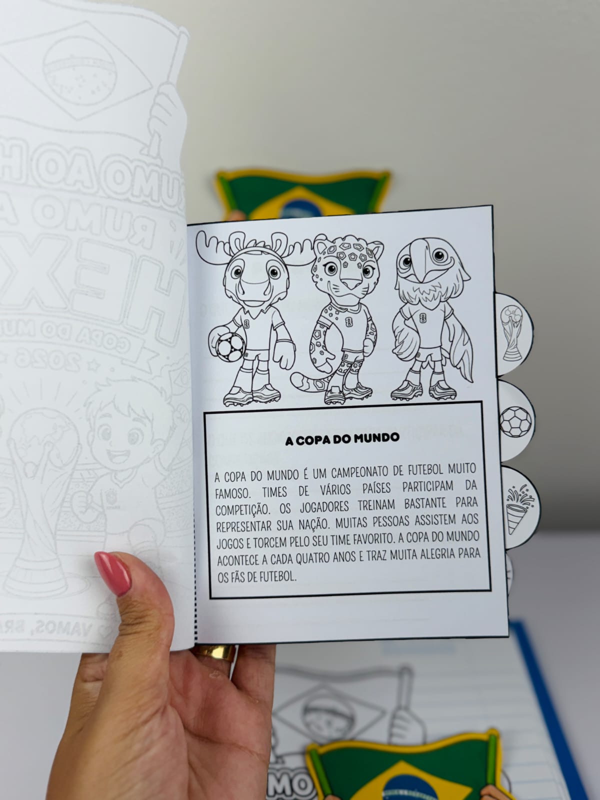 LIVRINHO RUMO AO HEXA - Imagem 9