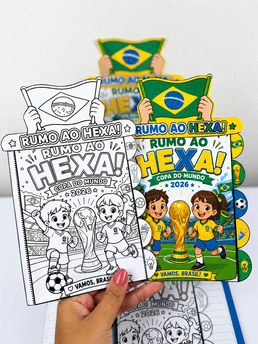 LIVRINHO RUMO AO HEXA